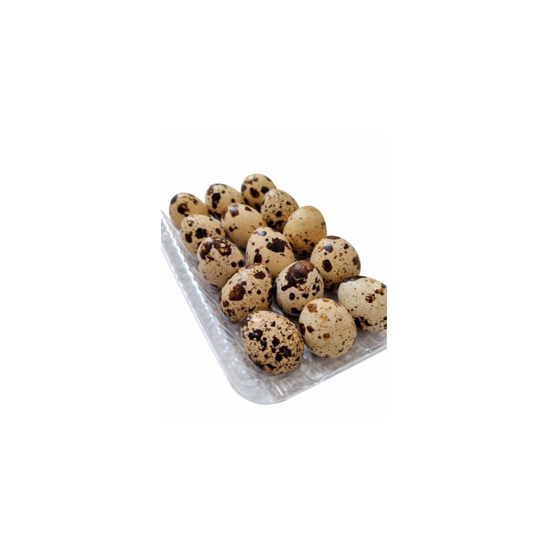 Quail Egg – কোয়েল পাখির ডিম (৪ টাকা পিছ)
